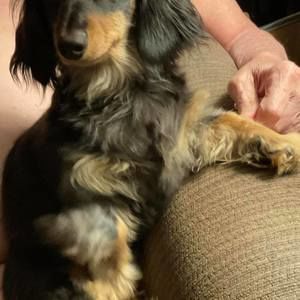 Meet your Posher, Mary